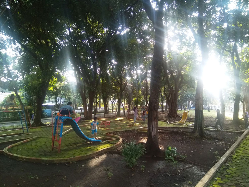 ある公園の変化