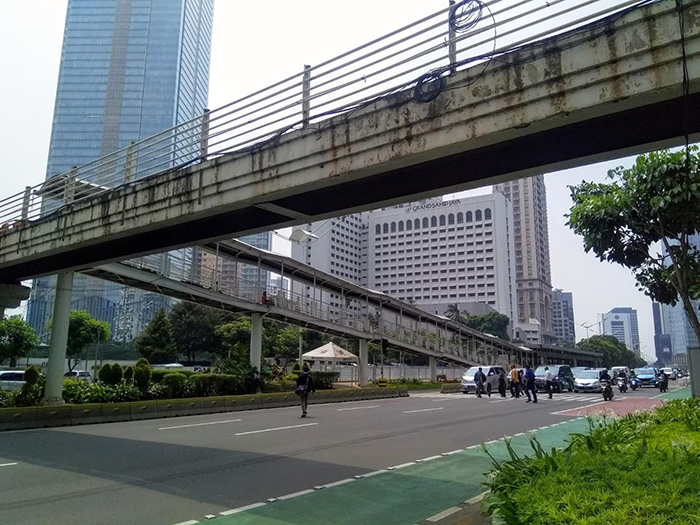 期間限定の横断歩道
