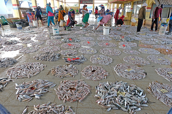 ▼魚が売れない、運べない