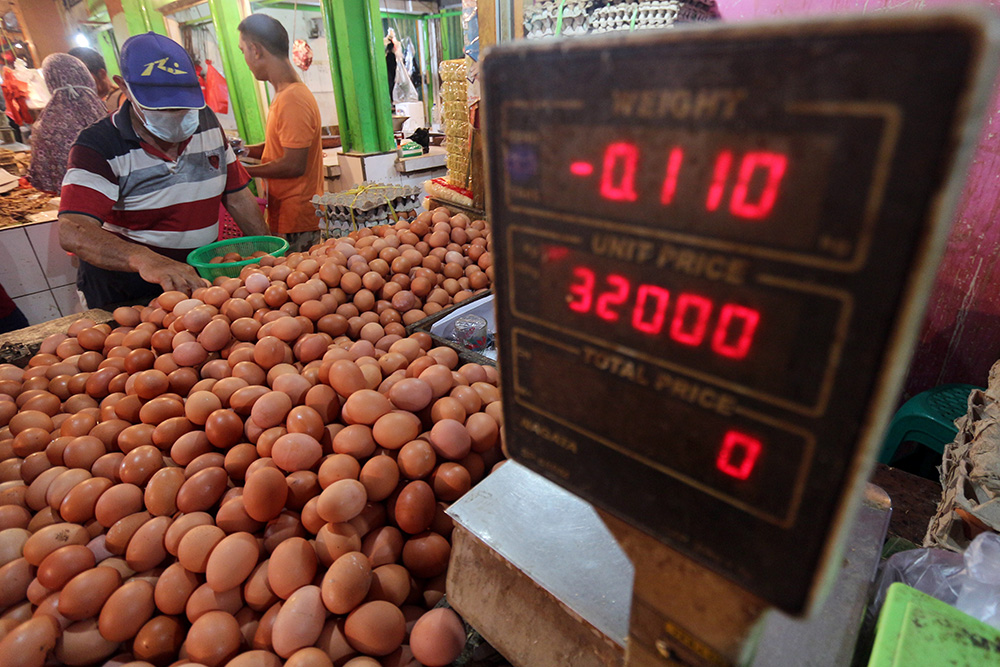 飼料高騰で鶏卵価格が上昇