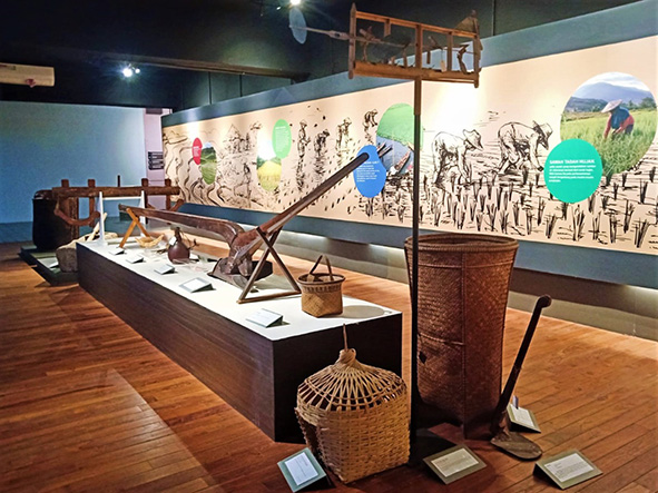 知的好奇心を満たす　インドネシア国立自然史博物館