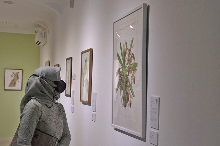 ▼国立美術館で植物美術展