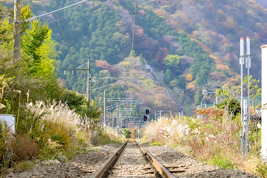 ＪＲ貨物が見せた意地