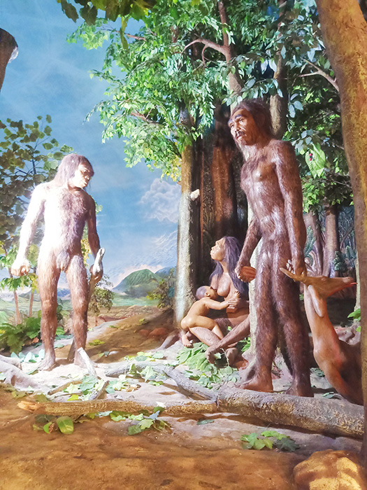 地球や人類の壮大な歴史を学ぶ　サンギラン初期人類博物館