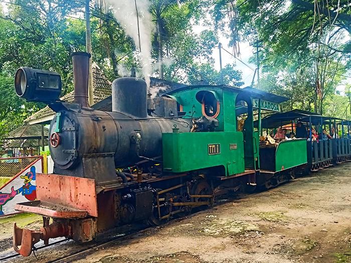 蒸気機関車と製糖工場の盛衰　ソンドコロ・サトウキビ農場観光公園　汽笛音に誘われて