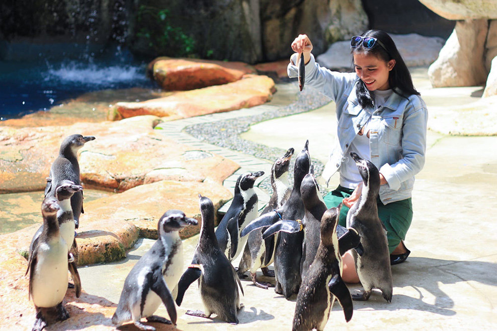 野生あふれる動物の姿を