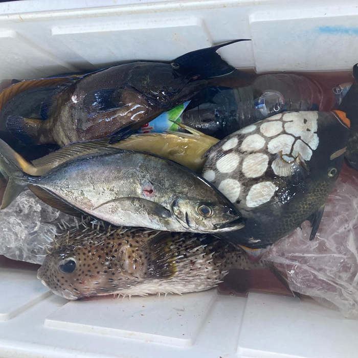 素潜り魚突きに初挑戦