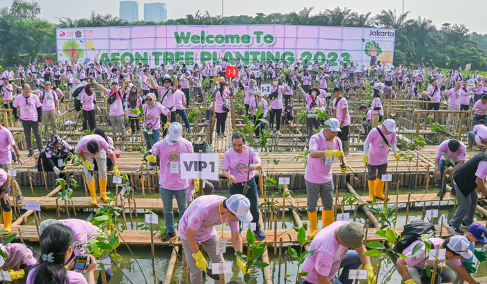 日本から150人参加、４年ぶり　マングローブ3000本植樹　イオン環境財団