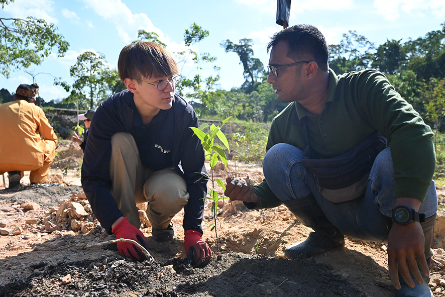【森と生きる 筑波大、坂戸高　④】自生種植え、ＳＤＧｓに貢献　巨大な製紙工場に〝潜入〟