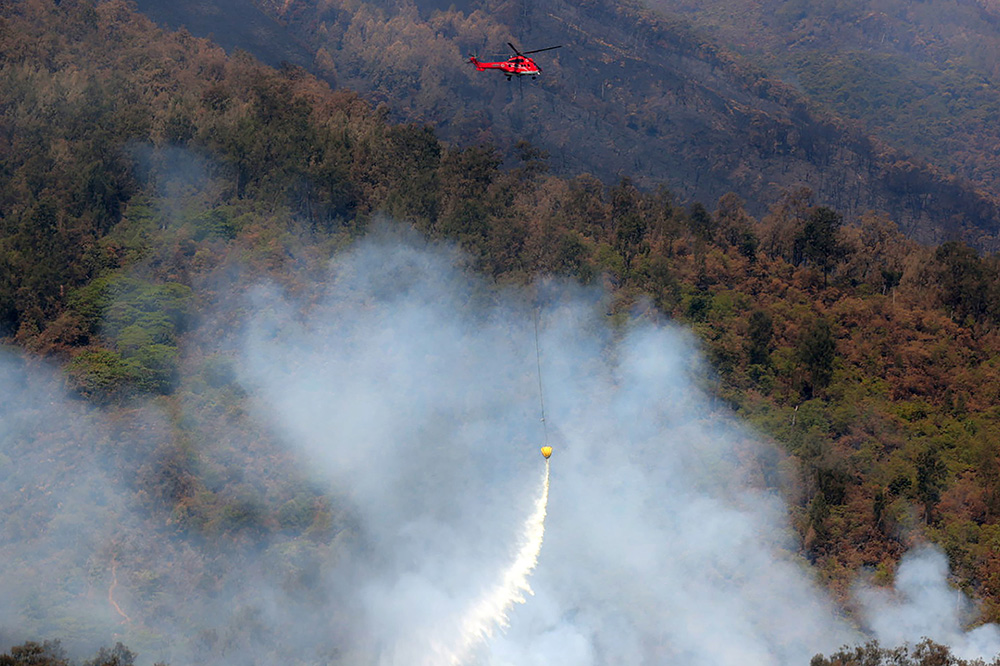 ▼山火事で4796㌶が消失