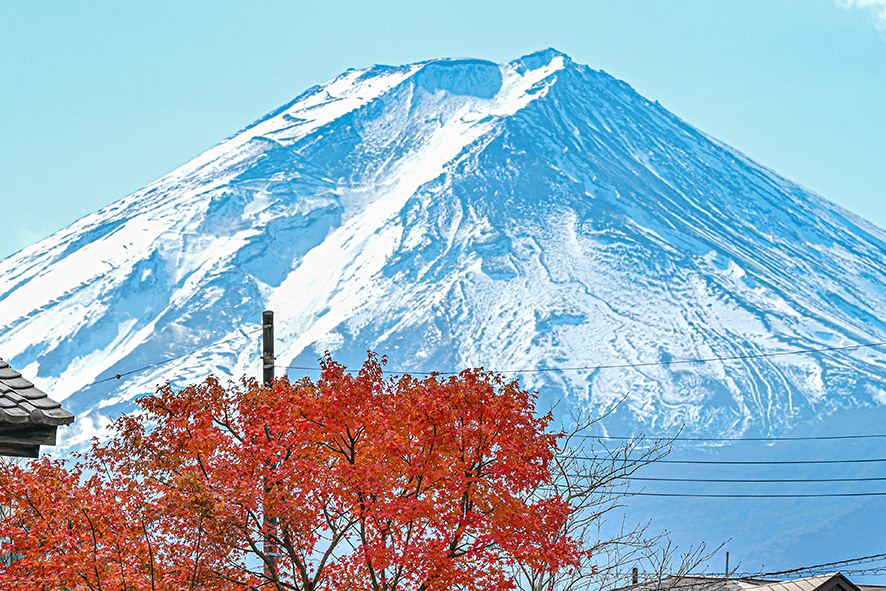 「爆買い」に代わり？