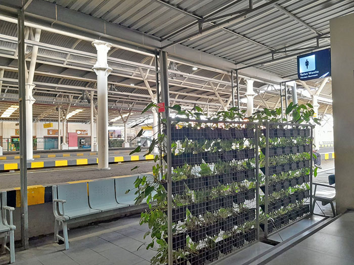 ▼トゥグ駅に水耕栽培エリア