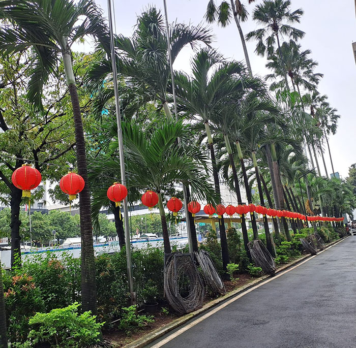 ▼春節を迎えて