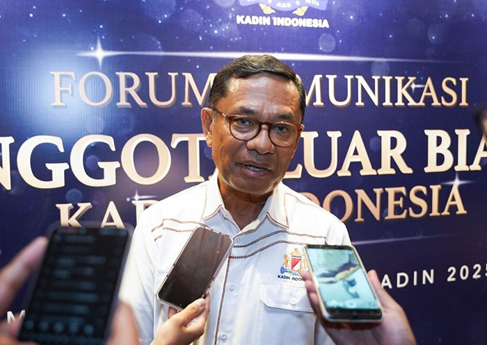 カディン、輸入撤回要請　国内産業圧迫への懸念拡大