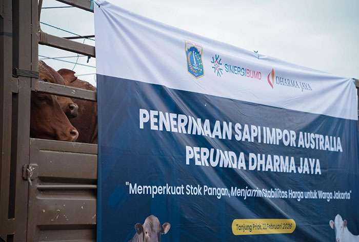 ▼牛の在庫は安定